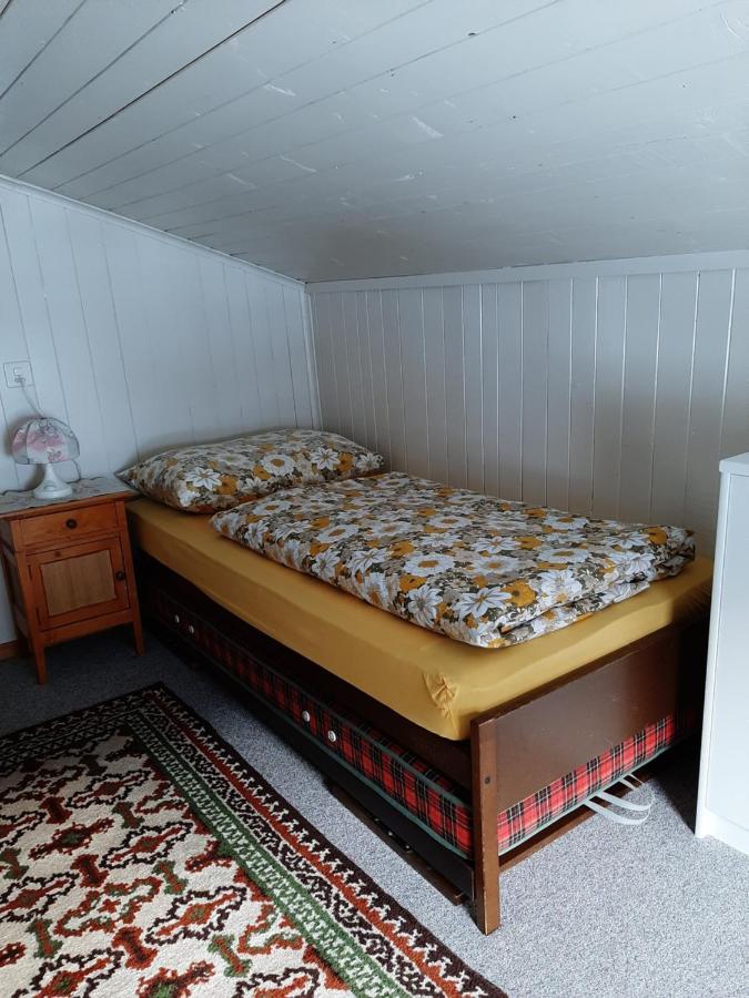 Apartmán Casa Schuoler Disentis Exteriér fotografie