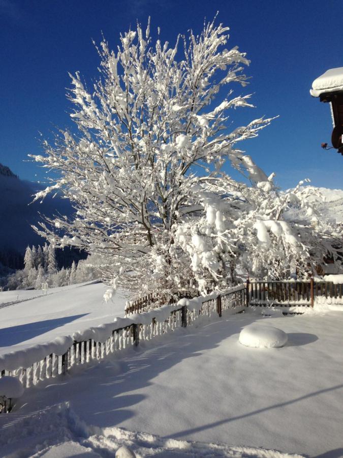 Apartmán Casa Schuoler Disentis Exteriér fotografie